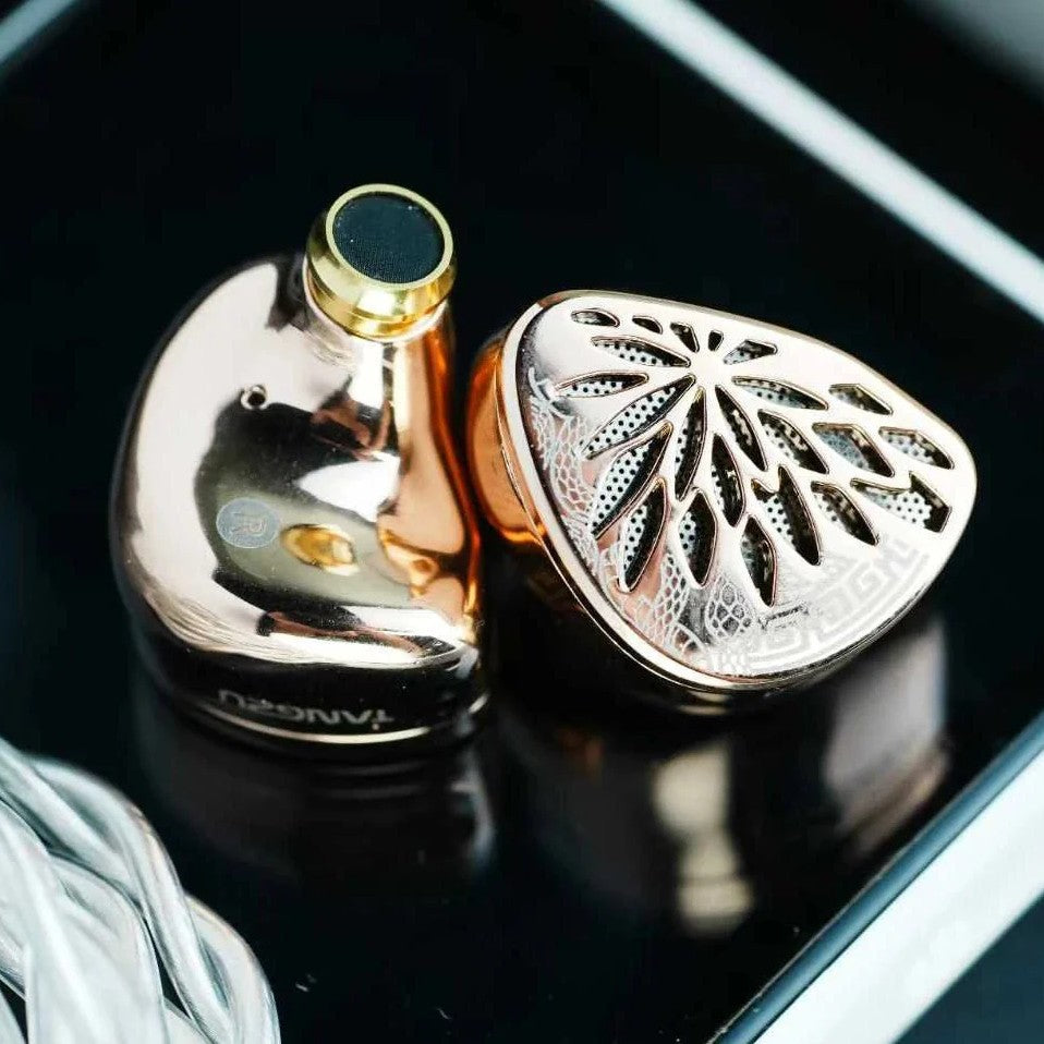 in ear monitors(iems)