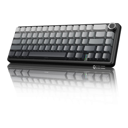 attack shark x66 Gradient black
