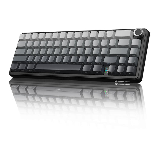 attack shark x66 Gradient black