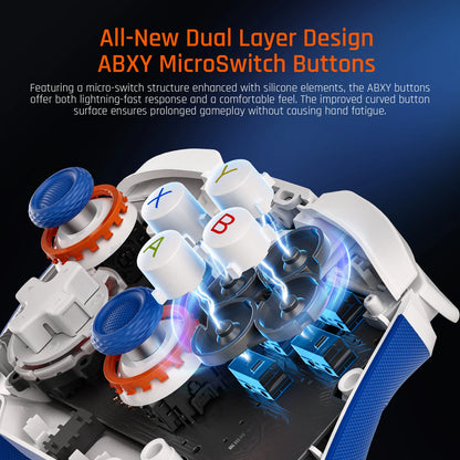 BigBigWon Biltz 2 TMR Dual Layer Design ABXY MicroSwitch Buttons