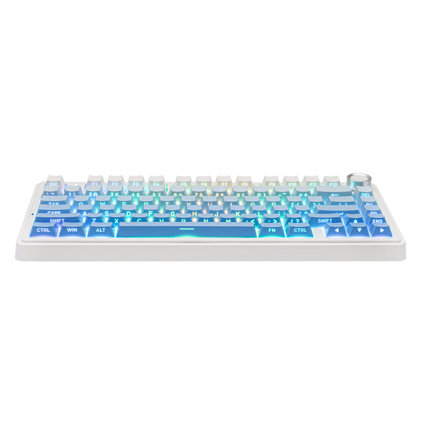 EPOMAKER x AULA F75 - 75% Gasket Wireless Mechanical Keyboard - Cloud Blue (Reaper Switch) in pakistan!
