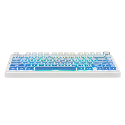 EPOMAKER x AULA F75 - 75% Gasket Wireless Mechanical Keyboard - Cloud Blue (Reaper Switch) in pakistan!