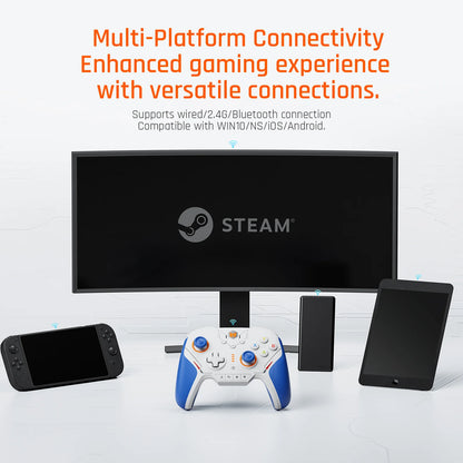 Multiplatform Connectivity for BigBigWon Biltz 2 TMR, Works with PC, NS, Andoird and iOS